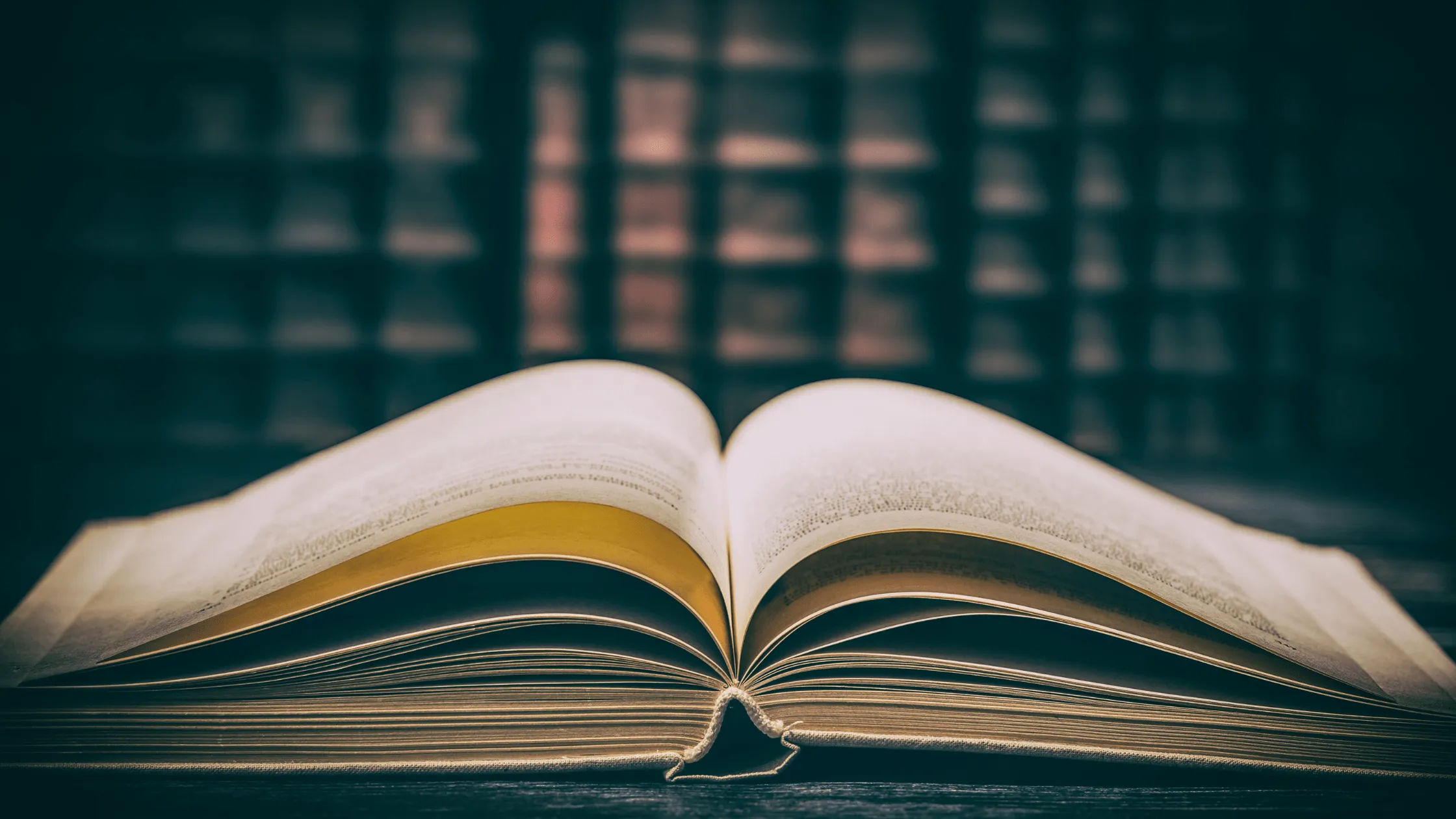 善用閱讀，培養資訊判讀力-專訪中國文化大學史學系主任倪仲俊(下)